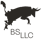 BS_Logo_BLK-1.png]