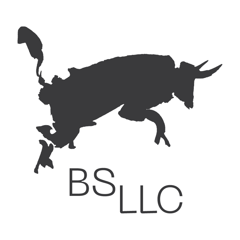 BS LLC Logo